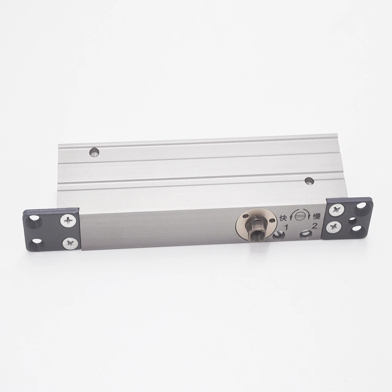 High Quality Accessories Adjustable Automatic Door Closer Its-106